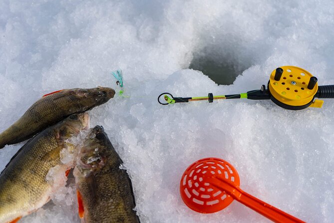 VIP Ice Fishing "ICEBREAKER" Lunch in Glass Igloo - Price and value: why it costs what it does