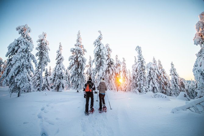 Wilderness snowshoe adventure - Arctic Snowshoe Essentials: The Quick Payoff
