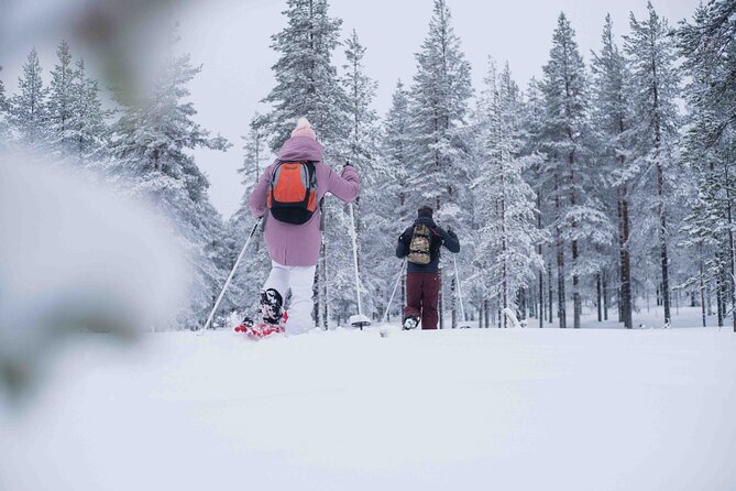 Wilderness snowshoe adventure - Snowshoe Fitting: Gear Built for Deep Snow, Not Flat Sidewalks