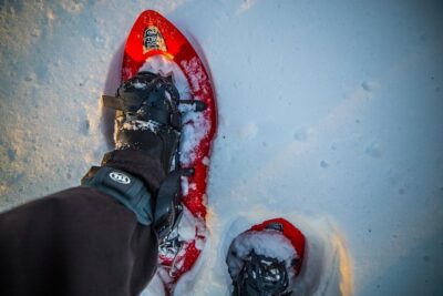 Wilderness snowshoe adventure - Getting There: Minivan Ride and the Hidden Woods Factor