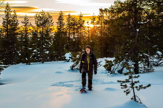 Wilderness snowshoe adventure - Duration and Group Size: Why Up to Eight Changes the Whole Experience