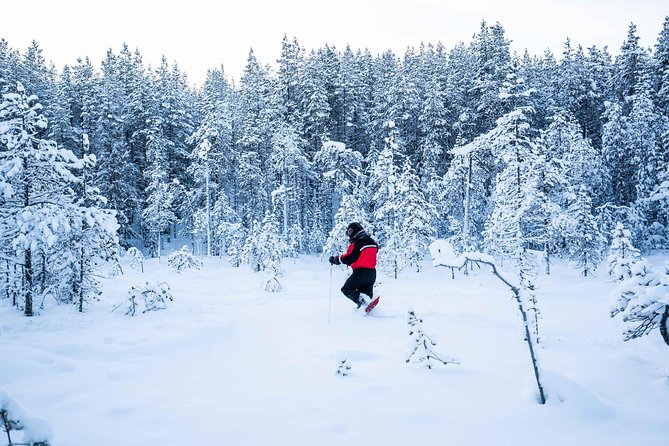 Wilderness snowshoe adventure - Price at $126.16: What You’re Actually Paying For