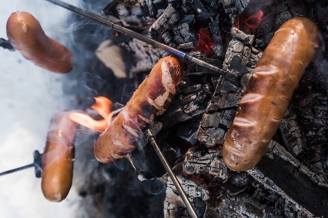 Wilderness Survival Tour - Winter - Reading winter clues: animal tracks, plants, and wildlife in snow