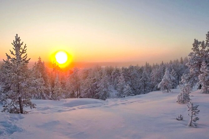Wilderness Survival Tour - Winter - Price and value in real terms: what $106.82 buys you